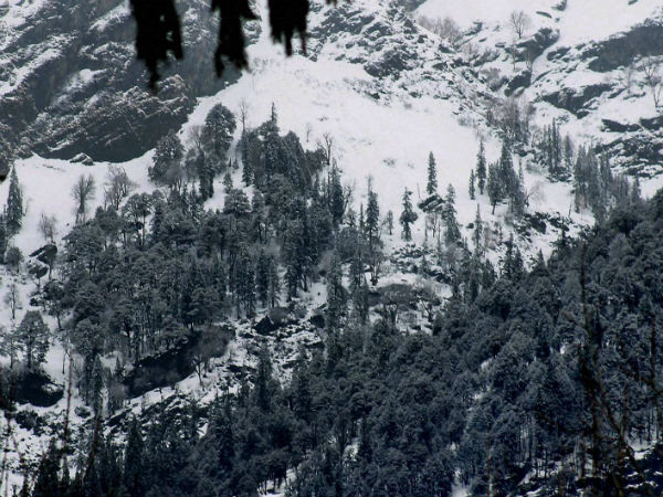 Pics: Tourists flock to snow-bound Manali, Kufri, Enjoying Romantic Weather 