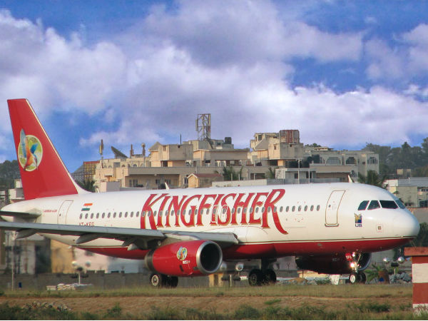 kingfisher kingfisher