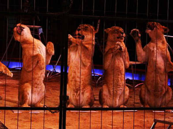 जमाना आगे निकल गया