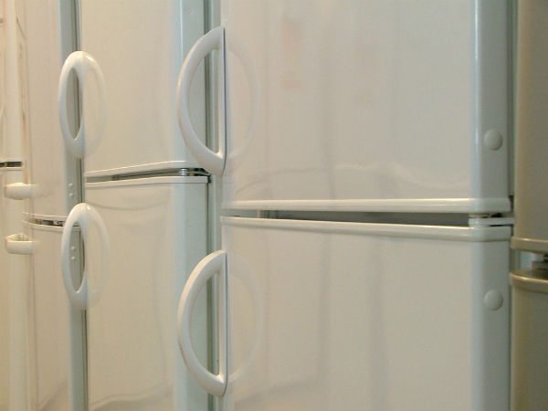 फ्रिज को न समझे कम