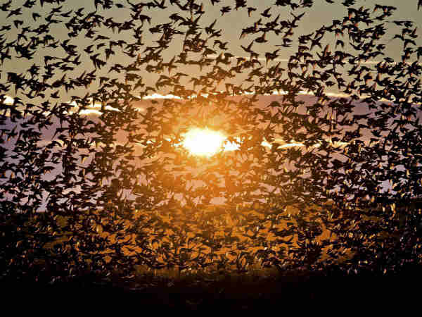 सुबह खिली हुई धूप निकली सुबह खिली हुई धूप निकली