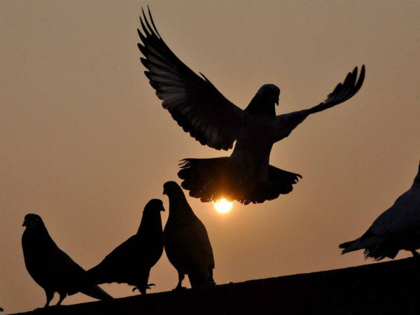 मौसम में बदलाव मौसम में बदलाव