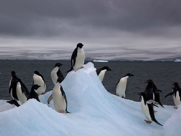 अंटार्कटिका में 400 झीलें