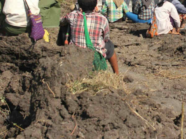 दैत्यापृष्ठा भूमि-