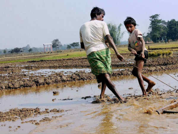 नागपृष्ठा भूमि-