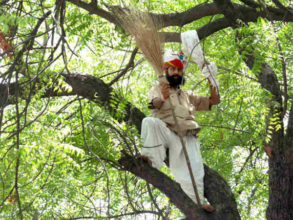 Now, people keen to see the ominous Neem tree of Jantar-Mantar Now, people keen to see the ominous Neem tree of Jantar-Mantar