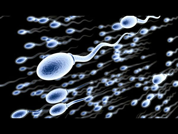 हर दिन 50 करोड़ शुक्राणु