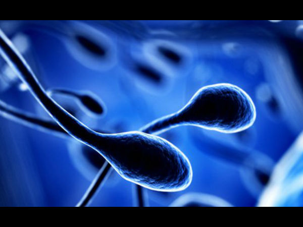  मिली कामयाबी