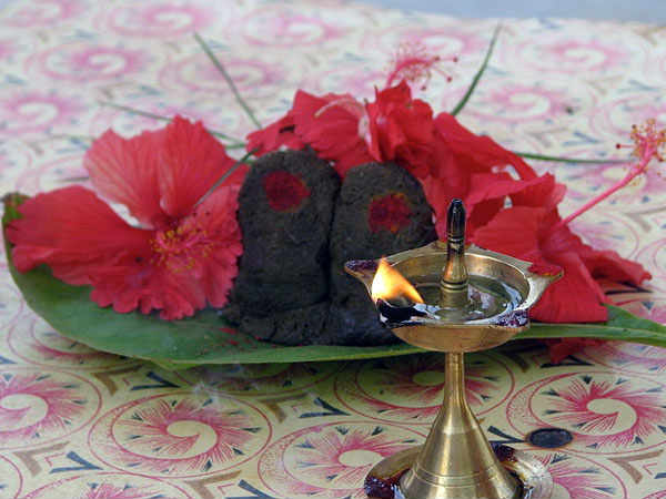 व्रत रखना 