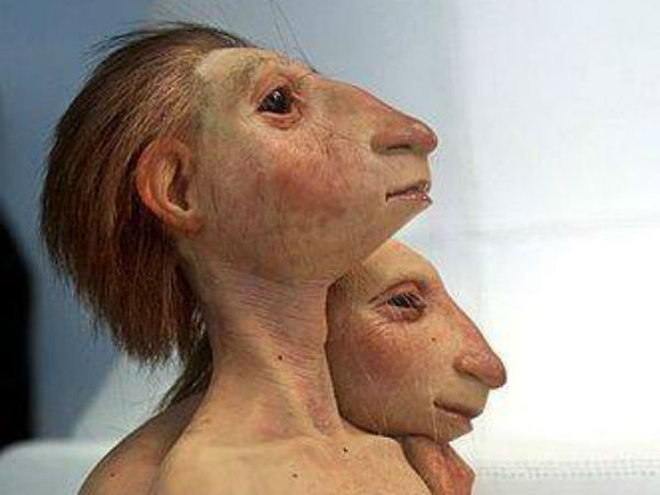 वइरल हो रही हैं तस्वीरें वइरल हो रही हैं तस्वीरें