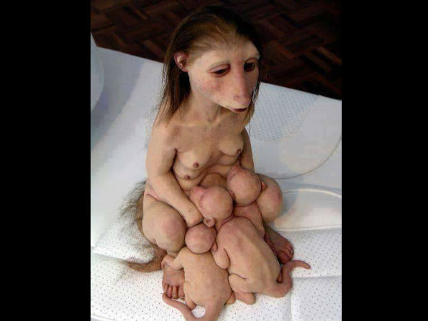 अफवाहों पर न जाएं अफवाहों पर न जाएं