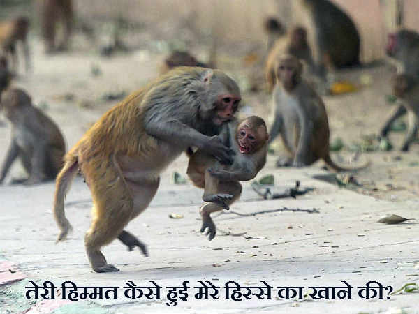 आते ही शुरू हो गया झगड़ा