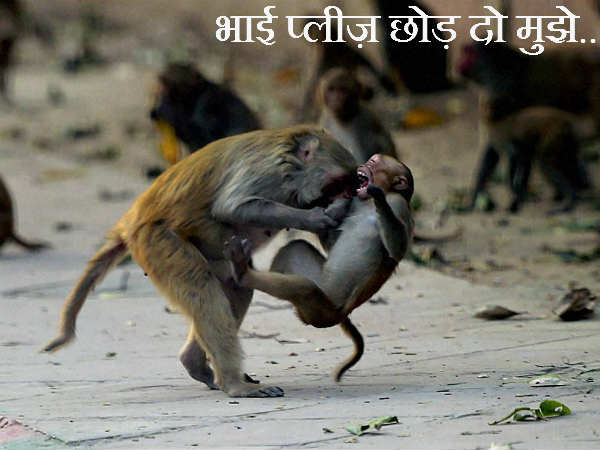 बेरहमी से काटा