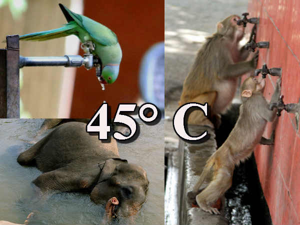 तीन महीने भीषण गर्मी