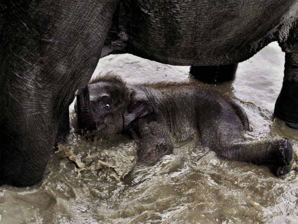 जा सिमरन जा जी ले अपनी जिंदगी 