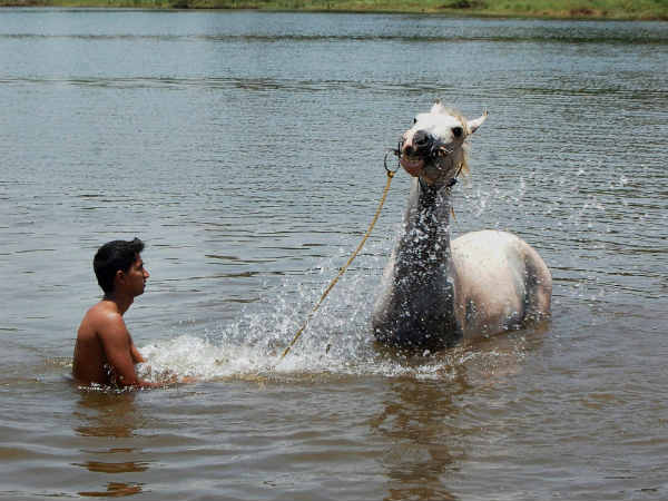 तेरी महरबानियां, तेरी कदरदानियां 