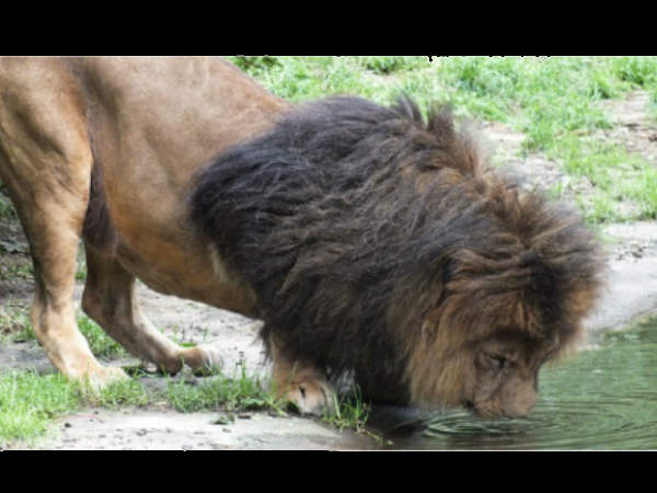 गर्मी ने राजा को बनाया रंक 