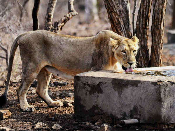 शुक्रिया इंसानों का 