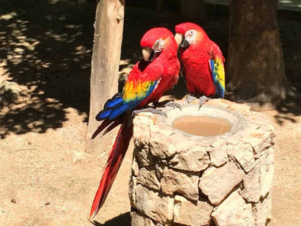 अच्छा जी मैं हारी, चलो मान जाओ न 