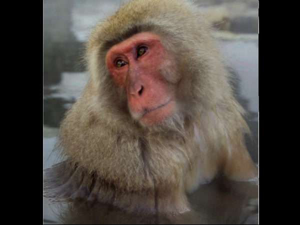 आज दिल है पानी-पानी... 