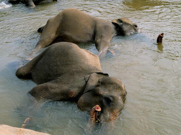 पड़े रहो मुन्ना भाई 