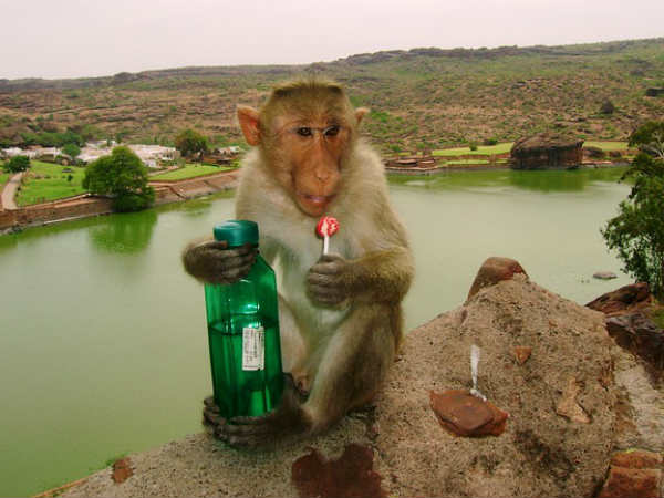 ले लो भईया डबल मजा 