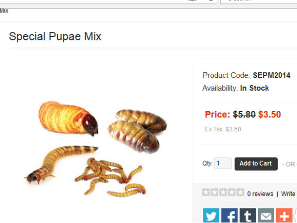 मिश्रित कीड़ें भी मंगा सकते हैं 