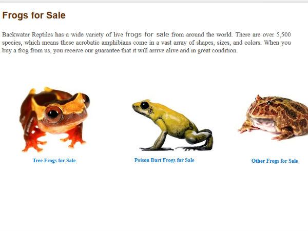 मेढ़क की कई प्रजातियां भी हैं उपलब्ध