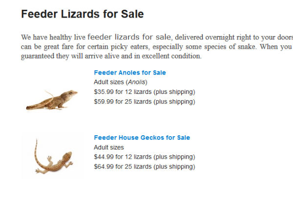 बिच्छू मंगाइये वो भी एक दिन में 