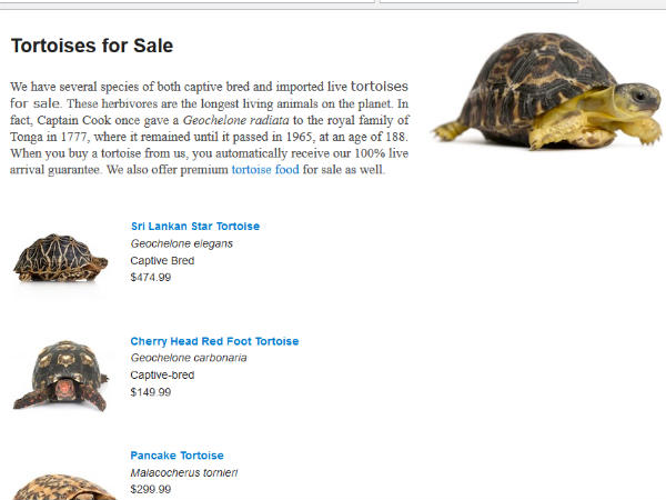 बड़े कछुए भी खरीद सकते हैं