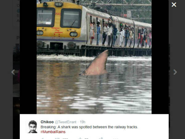 रेलवे ट्रैक पर शार्क 