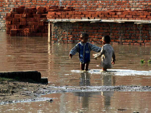 गंदगी की भरमार 