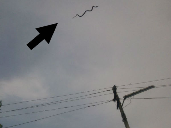 अचानक उड़ गया आसमान में अचानक उड़ गया आसमान में