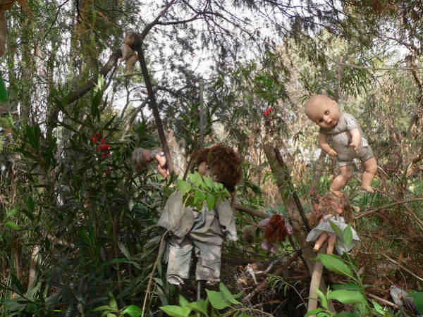 केवल डॉल ही डॉल केवल डॉल ही डॉल