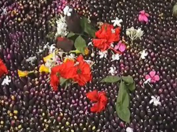 More than 5 crore shivling made in 41 days in Lalitpur, Uttar Pradesh