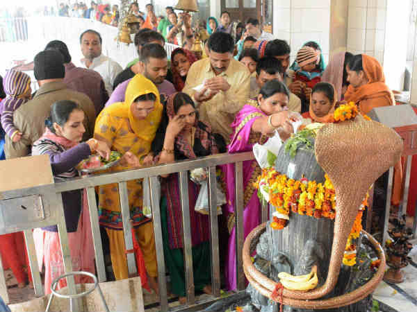 पीपल की लकड़ी के शिव लिंग पीपल की लकड़ी के शिव लिंग