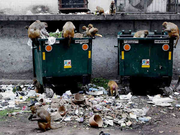 कूड़ा उठाने की सुविधा पूरी तरह से नहीं कूड़ा उठाने की सुविधा पूरी तरह से नहीं