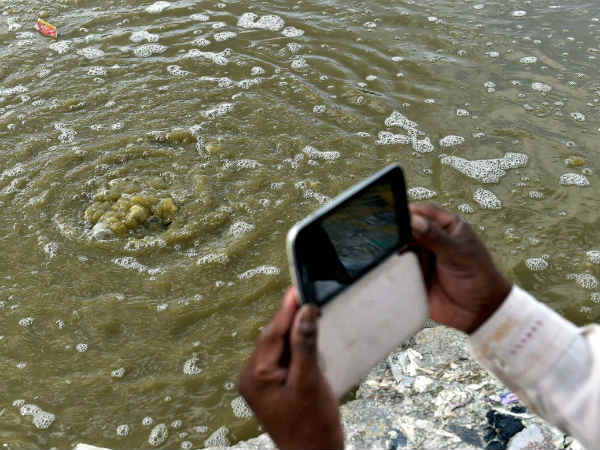 गंदगी फैलाते हैं