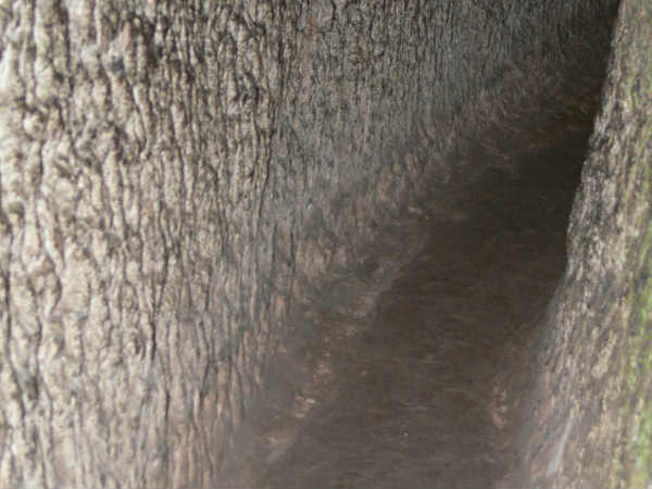 लंबी सुरंग