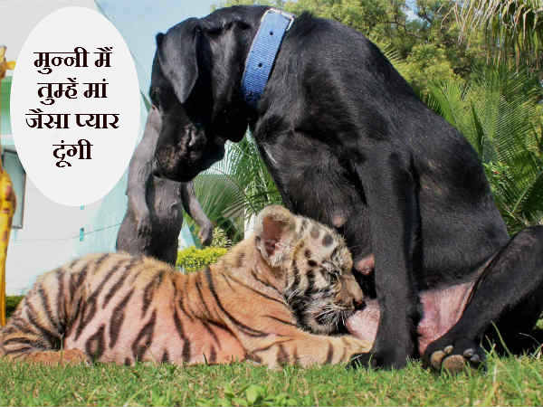 मुन्नी तुम्हें मां जैसा प्यार दूंगी