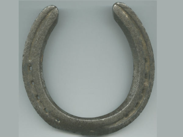 कमर का दर्द और घोड़े की नाल