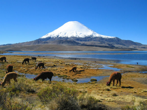 चिली-हाथ से खाना न खाएं 