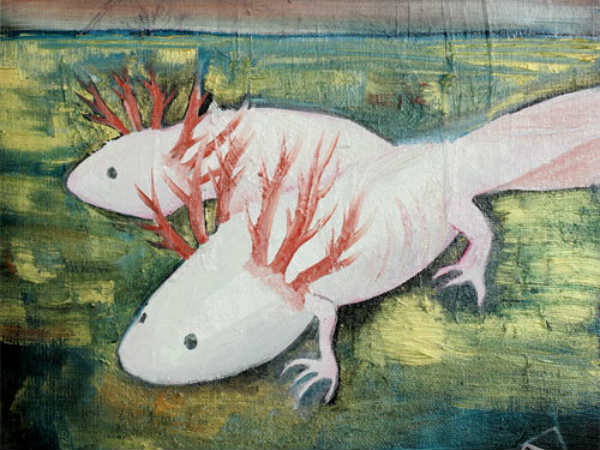 एक्‍सोलोटल 