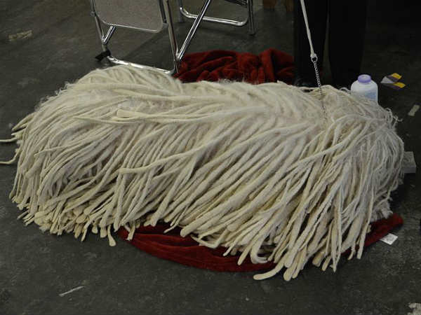 कोमोंडोर डॉग 