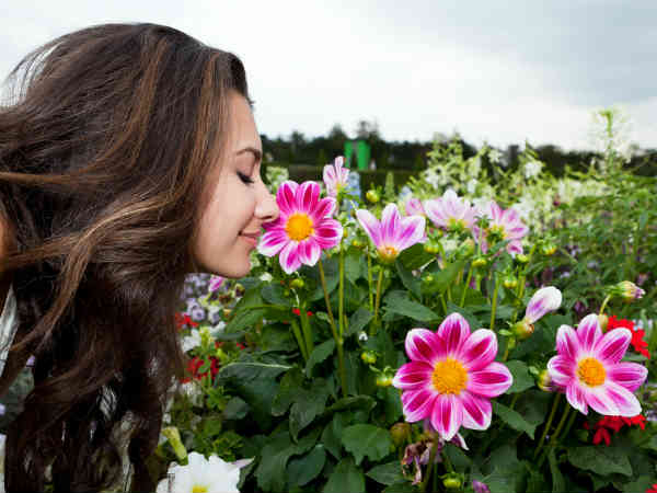 महिलाओं में अधिक सूंघने की क्षमता महिलाओं में अधिक सूंघने की क्षमता