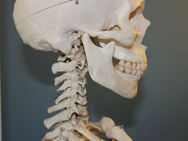 जबड़े में है बहुत जान जबड़े में है बहुत जान