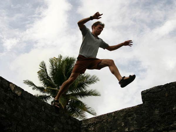 डामिनेंट स्वभाव डामिनेंट स्वभाव