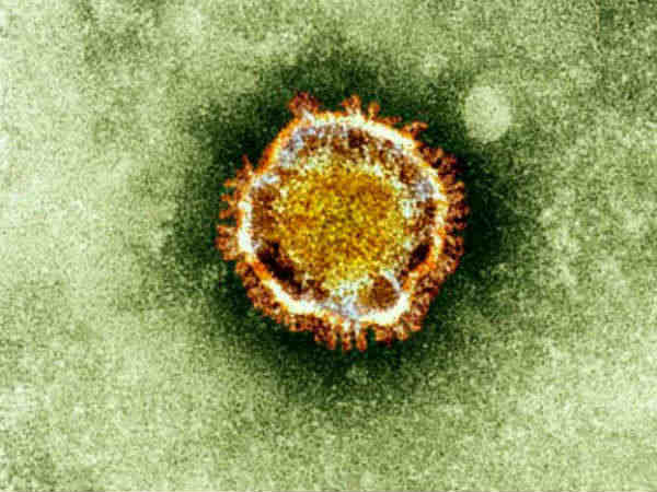 क्यास्नोर फोरेस्ट वायरस