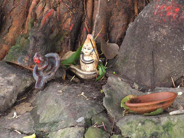 पीपल के पेड़ के नीचे दिया पीपल के पेड़ के नीचे दिया