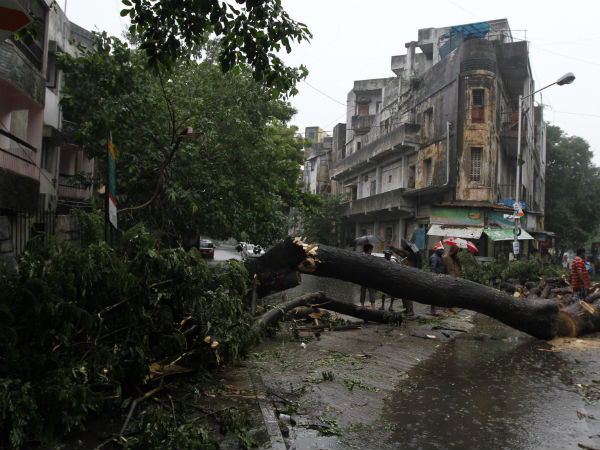 मृतकों की संख्या 55 मृतकों की संख्या 55